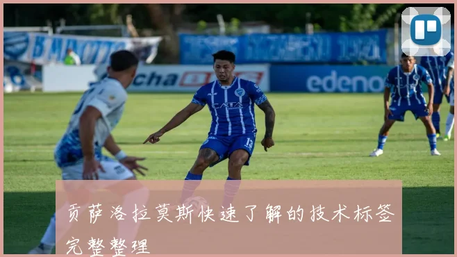 贡萨洛拉莫斯快速了解的技术标签完整整理