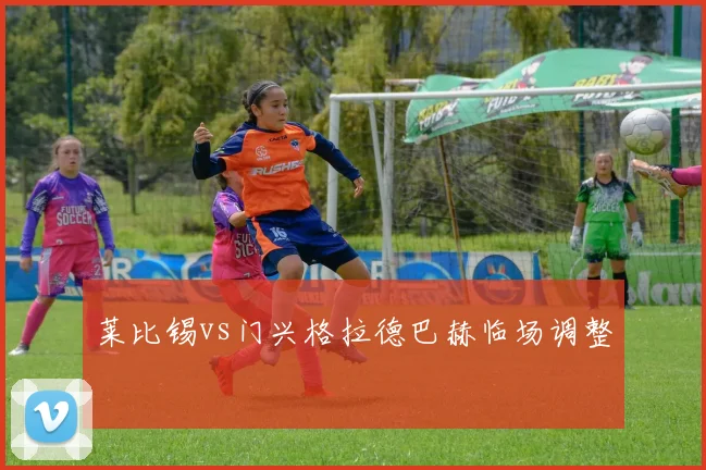 莱比锡vs门兴格拉德巴赫临场调整
